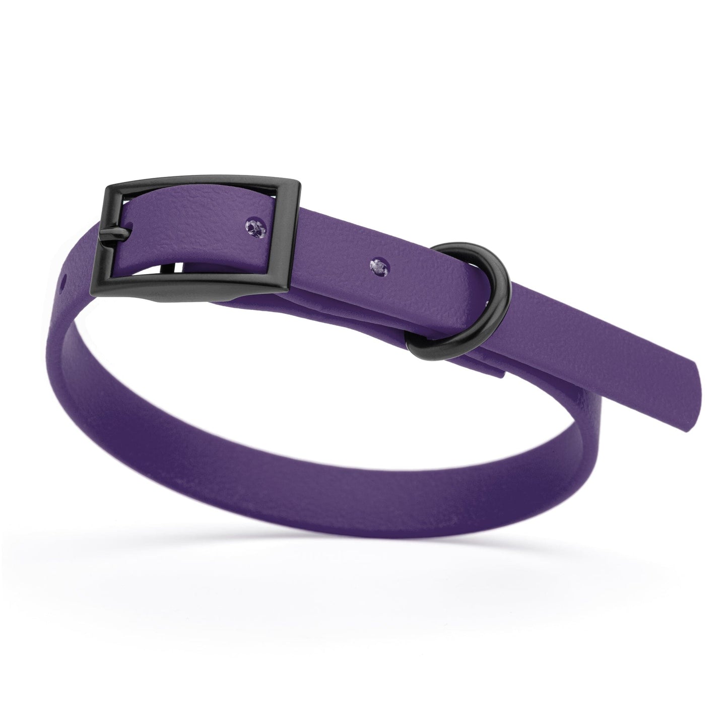 BioThane Waterproof Dog Collar - XS: L 12"-15" x W 5/8" - Black OR Brass Hardware