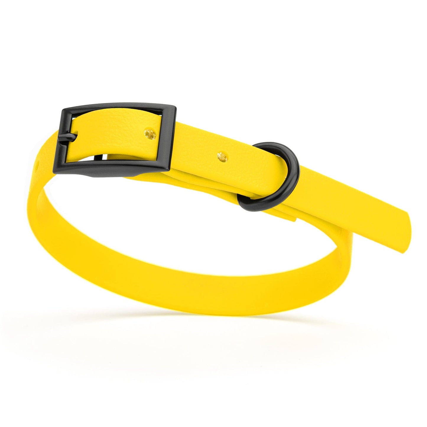 BioThane Waterproof Dog Collar - XS: L 9"-12" x W 1/2" - Black OR Brass Hardware