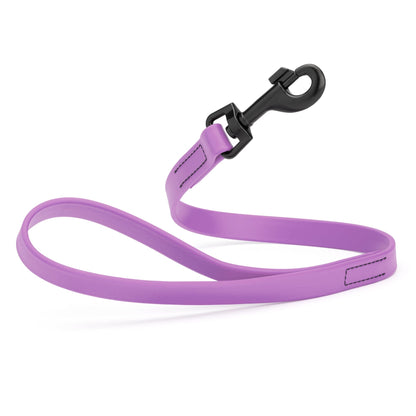 Biothane Waterproof Traffic Lead for Dogs, 2 ft