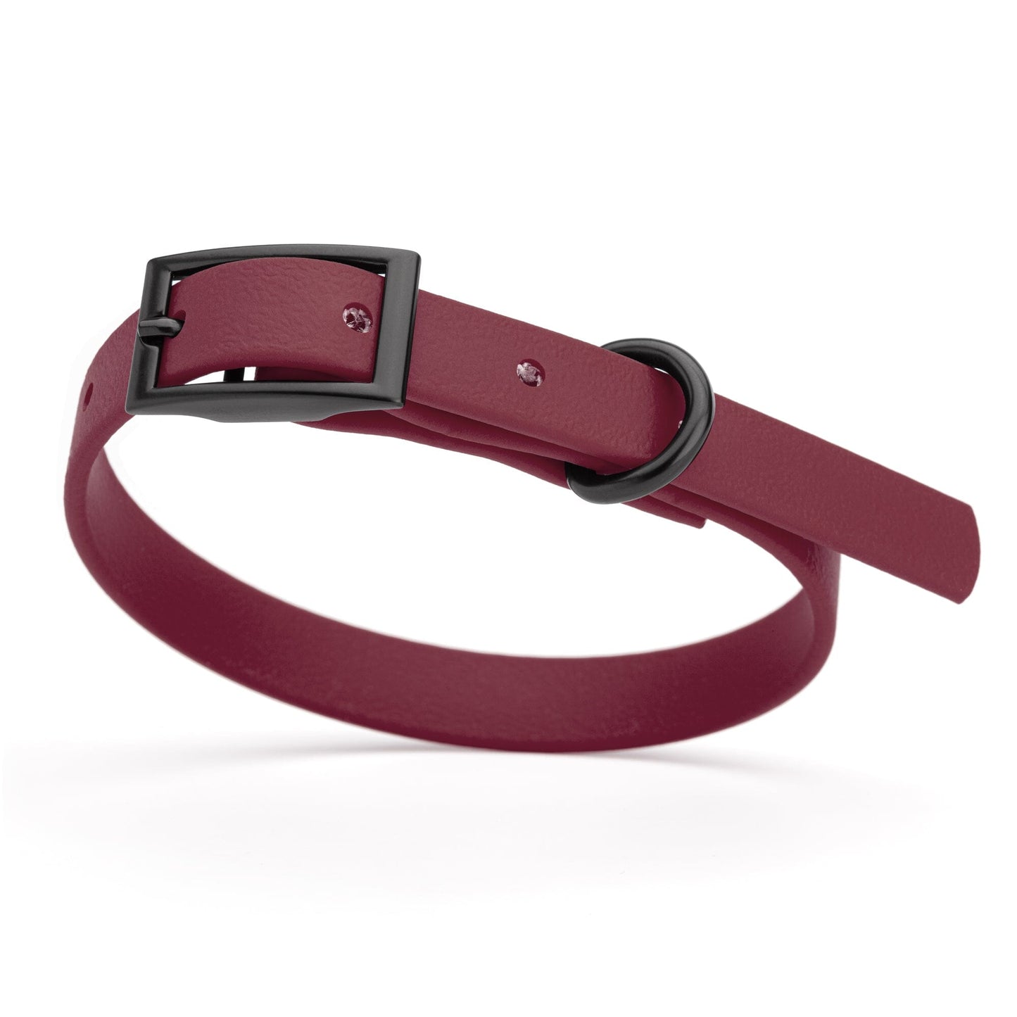 BioThane Waterproof Dog Collar - XS: L 12"-15" x W 5/8" - Black OR Brass Hardware