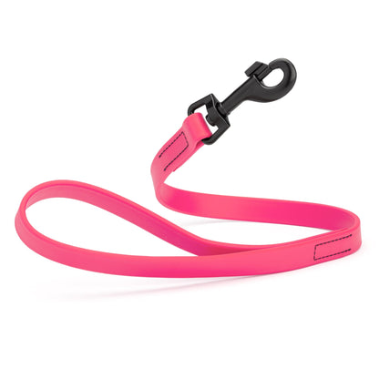 Biothane Waterproof Traffic Lead for Dogs, 2 ft