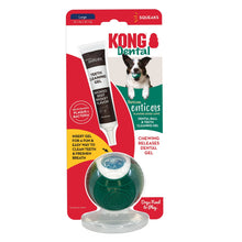 KONG Dental Ball w/Tropiclean Enticer Teeth Cleaning Gel Honey Chicken 1ea/LG, 1 oz - Bark & Beyond