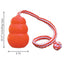 KONG Aqua Dog Toy 1ea/LG