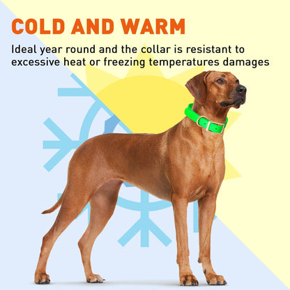 Viper Biothane Waterproof Dog Collar - Brass Hardware - Size L (18 to 22 inches)