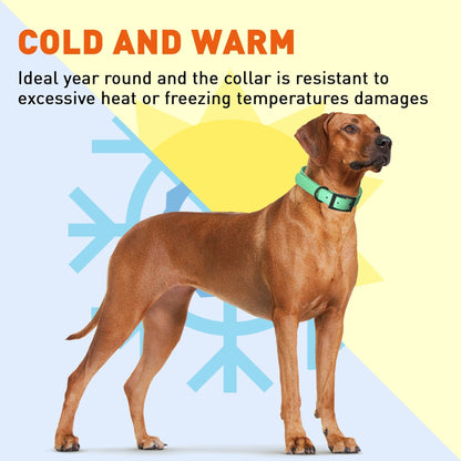 Dogline Biothane Waterproof Dog Collar with Black Hardware -  1.5" Wide, Size XL (20 to 24 inches)