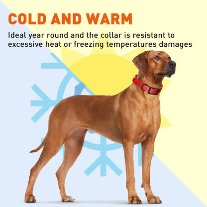 BioThane Waterproof Dog Collar - XS: L 9"-12" x W 1/2" - Black OR Brass Hardware