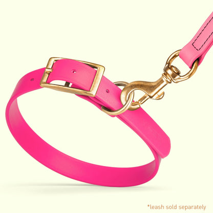 Viper Biothane Waterproof Dog Collar - Brass Hardware - Size M (15 to 18 inches)