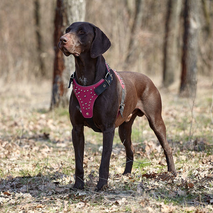 Leather + Nylon Spiked Dog Harness