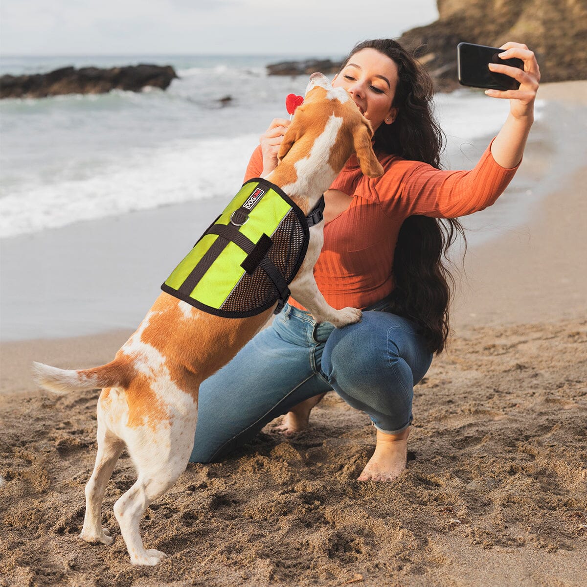 MaxAire Mesh Dog Vest Harness