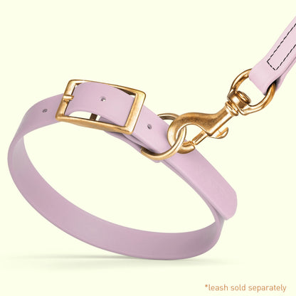 Viper Biothane Waterproof Dog Collar - Brass Hardware - Size XL (22 to 25 inches)