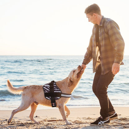 Unimax Multi-Purpose Dog Harness