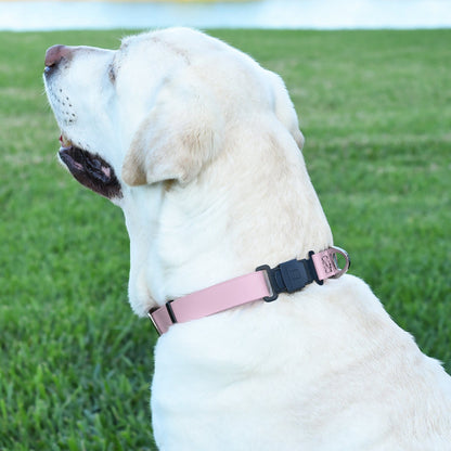 Sprenger BioThane Waterproof Dog Collar with Stainless Steel ClicLock Quick Release Buckle