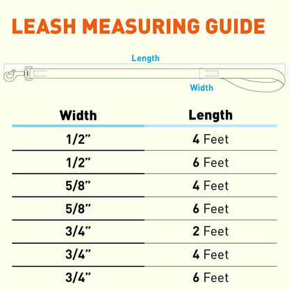Biothane Waterproof Traffic Lead for Dogs, 2 ft