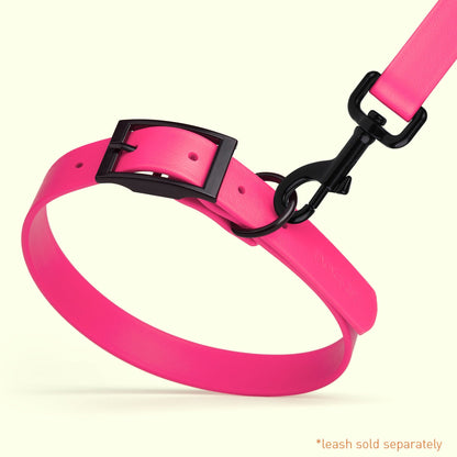 BioThane Waterproof Dog Collar - XS: L 12"-15" x W 5/8" - Black OR Brass Hardware