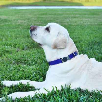 Sprenger BioThane Waterproof Dog Collar with Stainless Steel ClicLock Quick Release Buckle