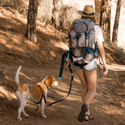 Biothane Working Dog Lead 20ft - Long Line Collection