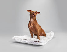 Arctic Shag Cozy Dog Mat, Ultra-Soft, Washable