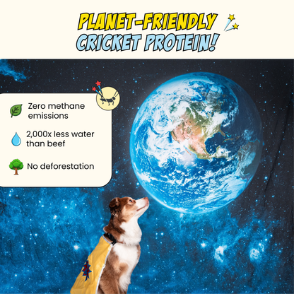 Chippin Protein Starter Pack