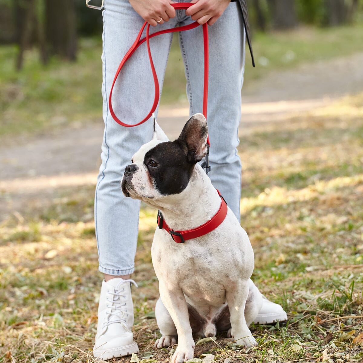 Biothane Waterproof Traffic Lead for Dogs, 2 ft