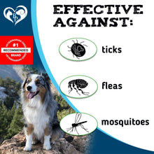 Zamzamas Flea and Tick Season Chews for Dogs and Cats, photo 2 of 5
