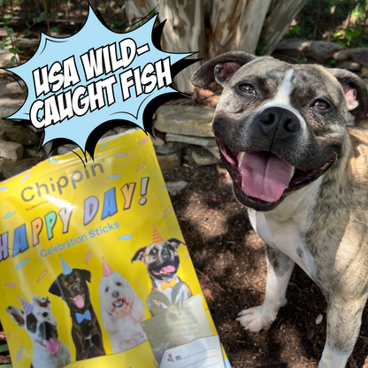 Birthday Dog Treats, 4-Pack