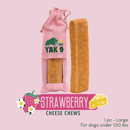 Strawberry Cheese Chews for Dogs