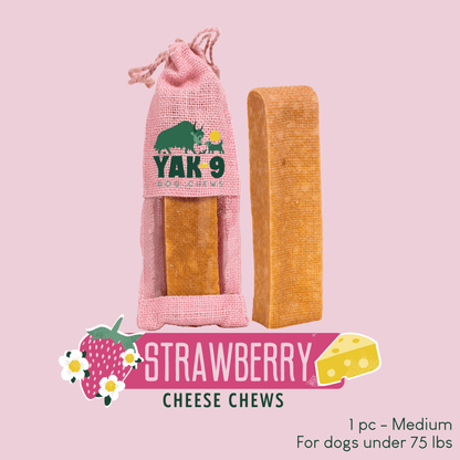 Strawberry Cheese Chews for Dogs
