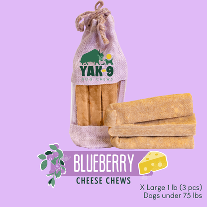Blueberry Cheese Chews for Dogs