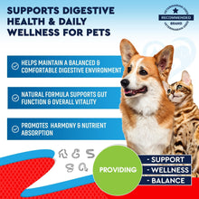 Wormwood and Black Walnut Drops for Dogs and Cats, 2 Pack, photo 2 of 7