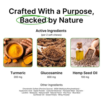 Hip & Joint With Hemp For Dogs 9oz Jar (120 count)