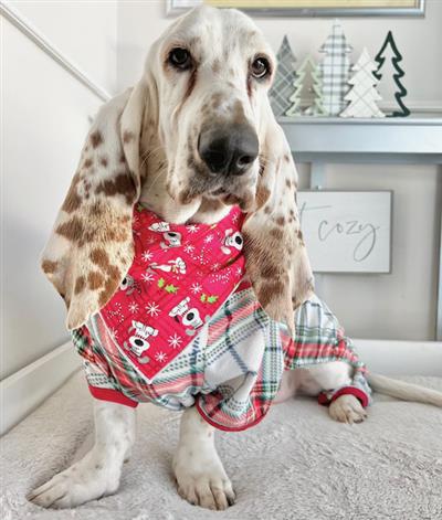 Christmas Bandana | Holiday Bandana | Red Flannel | Dog Bandana