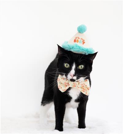 Pearhead Happy Purrday Cat Hat & Bowtie Set.