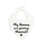 My Humans are Getting Married Dog Bandana