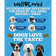 Well Loved Probiotics for Dogs, Dog Probiotics and Digestive Enzymes Supplement