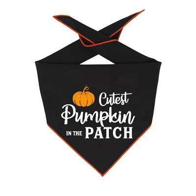 Cutest Pumpkin in the Patch Halloween Dog Bandana