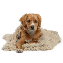 Best Friends by Sheri Blanket Shag 30x40 - Bark & Beyond