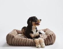 Corduroy Taupe Big Dog XL Ortho Lounge