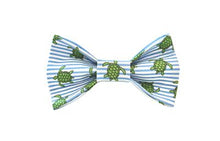 Turtle Dog Bow Tie