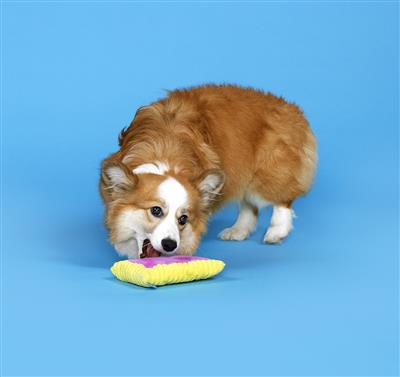 BARK Toaster Poodle Plush Dog Toy