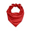 Holiday Red Velvet Dog Bandana