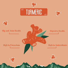 Turmeric Cheese Chews for Dogs