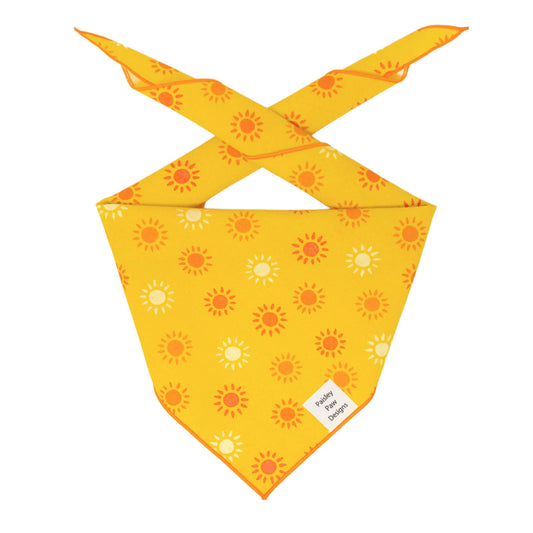 Summer Sun Dog Bandana