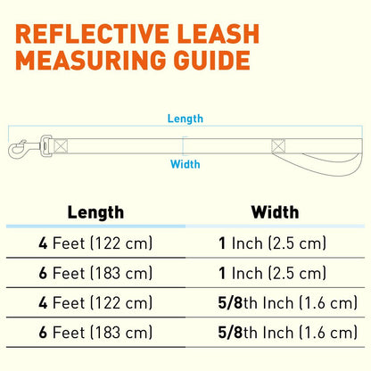 Reflective Nylon Dog Leash