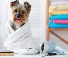 Thoozypet 100% Cotton Towels with Red Paw 20" X 40"