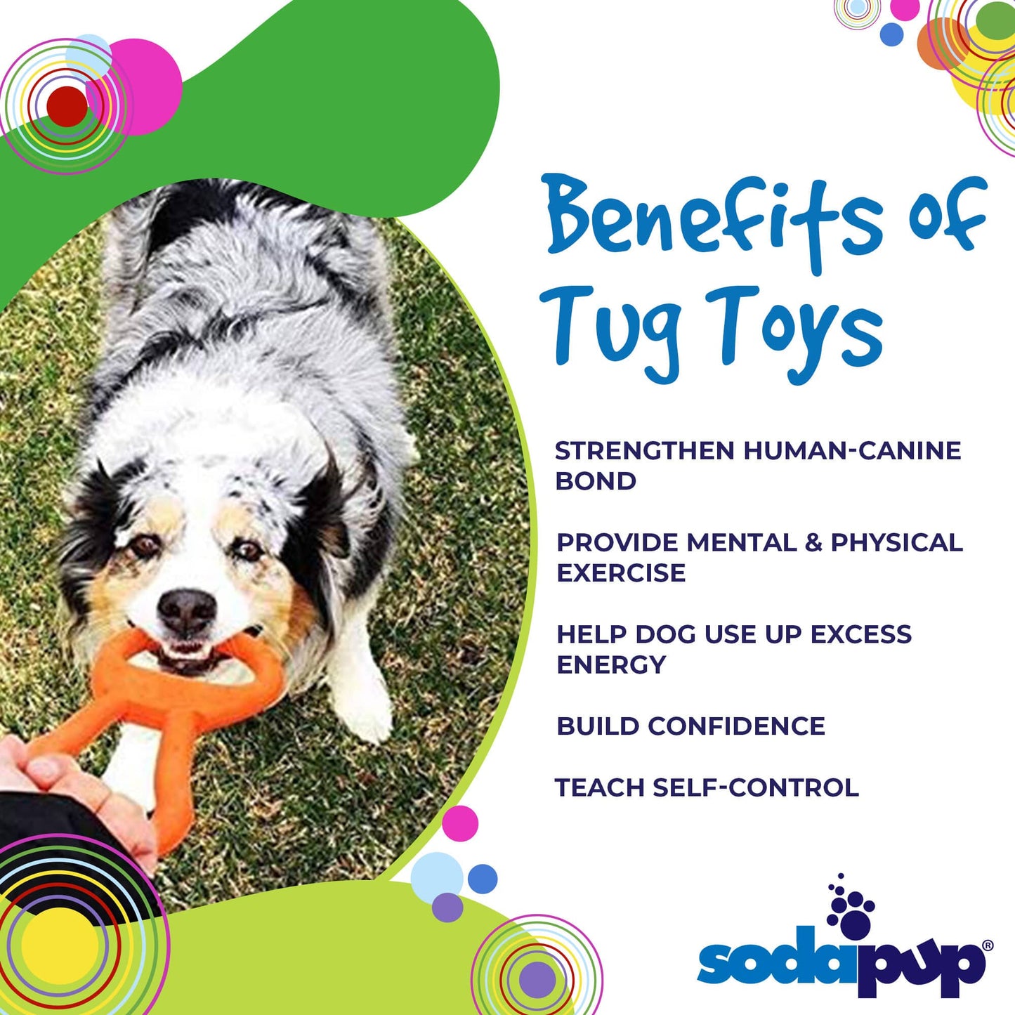 Orange SodaPup rubber tug toy for dogs, durable and interactive, ideal for heavy chewers and active play.