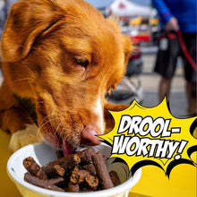 Birthday Dog Treats, 4-Pack