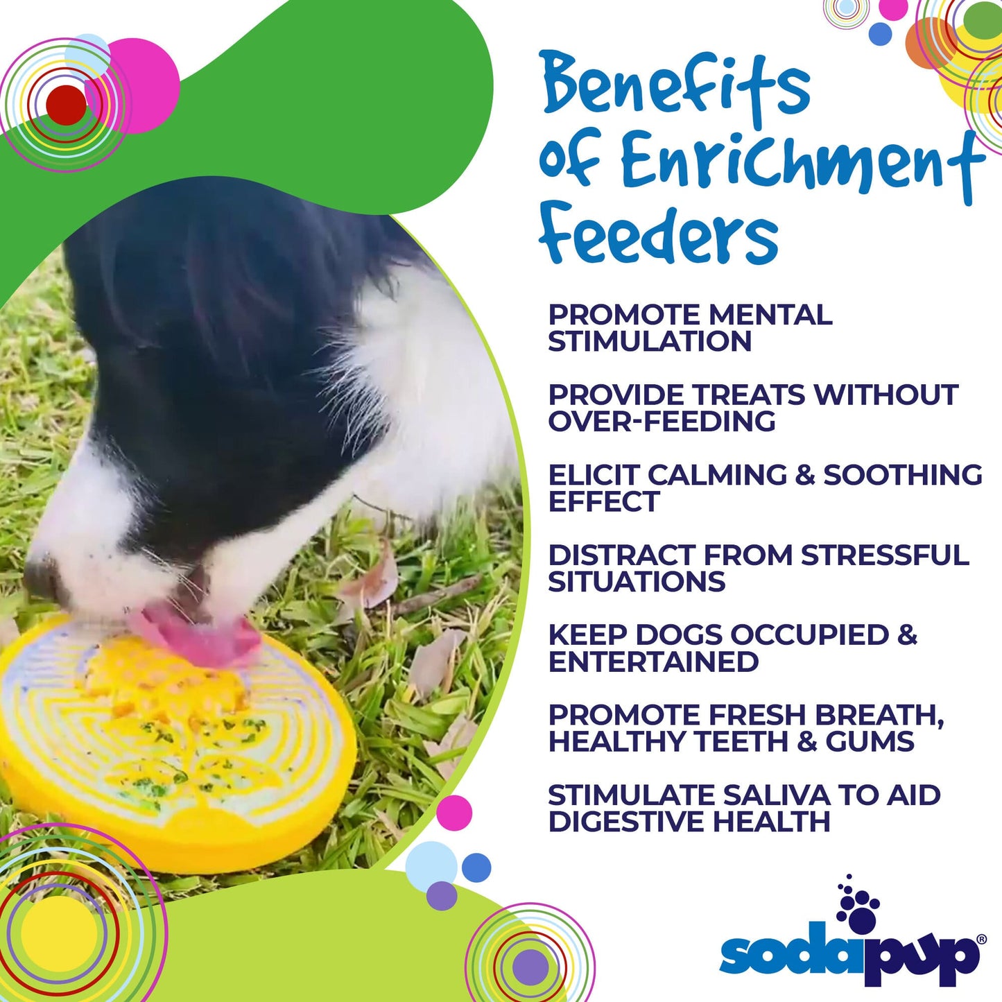 Earth eCoin Nylon Lick Mat for dogs by SodaPup, a durable enrichment toy with a textured surface for canine licking and chewing.