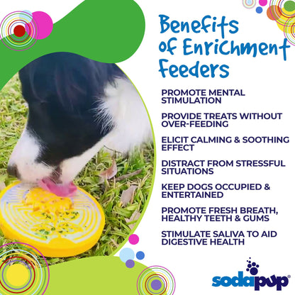Earth eCoin Nylon Lick Mat for dogs by SodaPup, a durable enrichment toy with a textured surface for canine licking and chewing.