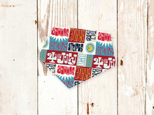 "4th of July" Dog Bandana