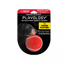 Playology Squeaky Chew Ball – Beef Scented | Medium/Large | Tough Dog Toy for Power Chewers 10 lbs+